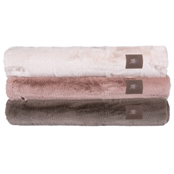dashome-80-299975143107-1.jpg